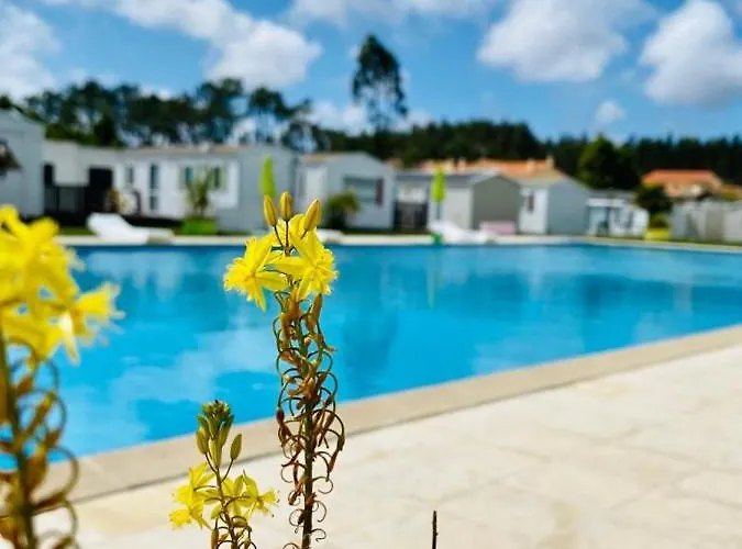 Bumgalow 5x База отдыха Патаяш